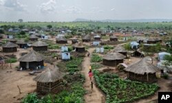 FILE - Women and children return home with containers of water, in a section of the Bidi Bidi refugee settlement in northern Uganda, June 9, 2017.