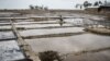 Salt fields have come to replace paddy fields in Kutubdia. (J.Owens/VOA)