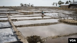 Salt fields have come to replace paddy fields in Kutubdia. (J.Owens/VOA)