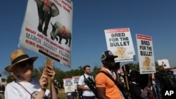 Activists march at the site of the Convention on International Trade in Endangered Species of Wild Fauna and Flora (CITES) in Johannesburg, South Africa, Sept 24, 2016. 