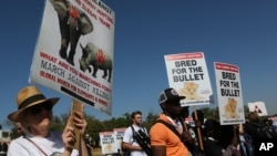 Activists march at the site of the Convention on International Trade in Endangered Species of Wild Fauna and Flora (CITES) in Johannesburg, South Africa, Sept 24, 2016. 