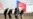 گشایش طرح ساخت مرکز نظامی مشترک آمریکا و رومانی