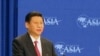 世界媒体看中国：太子党与中国前途