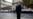 Amid Simmering Conflicts, Paris Marks 1944 Liberation
