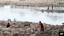 အိန္ဒိယနိုင်ငံ ရေခမ်းခြောက်လာနေသော Sabarmati မြစ်အတွင်က စွန့်ပစ်ပစ္စည်းတွေကို ဆယ်ယူထားသော မြင်ကွင်း။ (မတ်လ ၂၂၊ ၂၀၁၃)