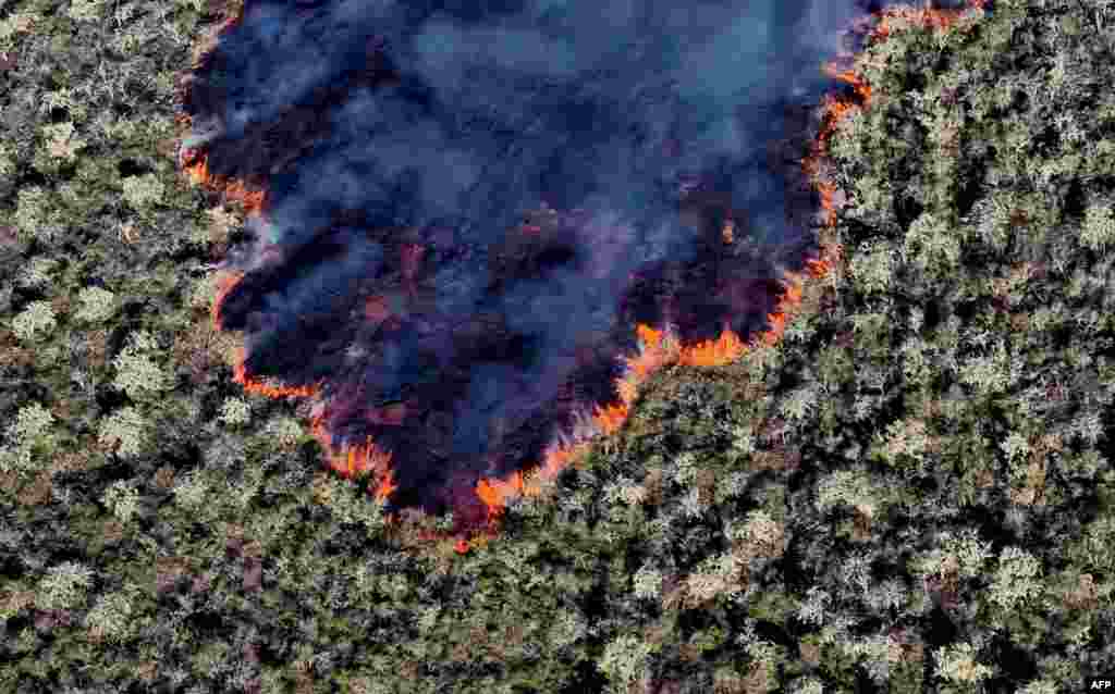 Lava is expelled by the Wolf Volcano after it erupted for the second time in seven years, on Isabela Island in the Galapagos Islands in the Pacific Ocean, 900 km off the Ecuadorean coast, in this handout picture released by the Galapagos National Park. 