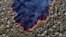 Lava is expelled by the Wolf Volcano after it erupted for the second time in seven years, on Isabela Island in the Galapagos Islands in the Pacific Ocean, 900 km off the Ecuadorean coast, in this handout picture released by the Galapagos National Park. 