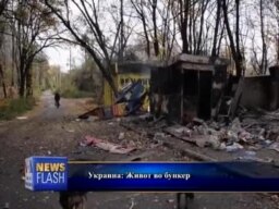 Живот во скривница