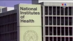 Արևելյան Եվրոպայում և Կենտրոնական Ասիայում գրանցվել է ՄԻԱՎ-ի վարակի 60 տոկոսի աճ, նշում է ՄԱԿ-ի զեկույցը