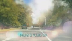 بي بي شیرینه – وي او اې ډيوه په ټیلې ویژن