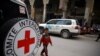 Syria Aid Shifts to Seeds, Sheep and Recovery, Red Cross Federation Says