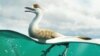 Goose-necked Dinosaur Was Built Like a Diving Bird