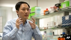 FILE - He Jiankui speaks during an interview at a laboratory in Shenzhen in southern China's Guangdong province, Oct. 10, 2018.