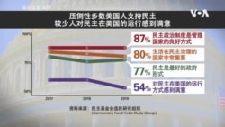 报告：大部分美国人支持民主 但一些迹象令人担忧