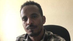 ኣብ ክልል ትግራይ ኣብ ወረዳታት ወልቃይትን ቃፍታ ሑመራን ኣምበጣ ከምዝተርኣየ ተገሊጹ