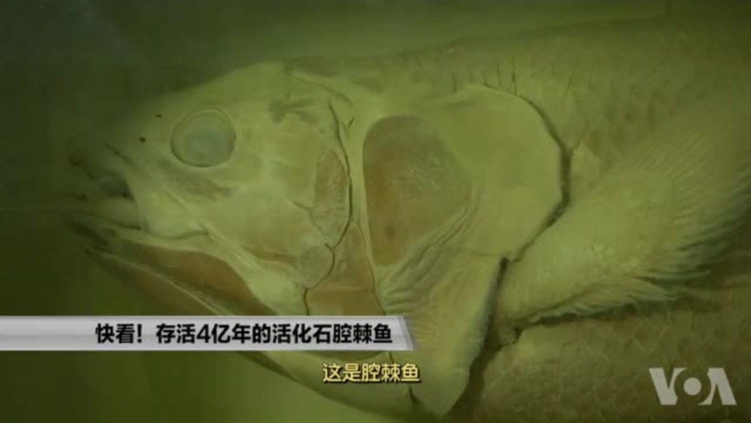 116bcc38-1577-44be-ab4b-