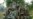 New Clashes Between Government, M23 Rebels in DRC