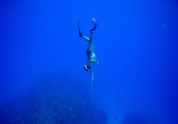 Fisherman turned Oracabessa Fish Sanctuary warden and dive master, Ian Dawson, dives while spearfishing outside the sanctuary's no-take zone in Oracabessa, Jamaica, Feb. 14, 2019.