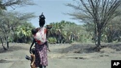 A mother and her children walk along a path in central Turkana, Kenya, August 30, 2011.