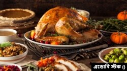 থ্যাংক্সগিভিং দিবস পালন 