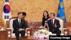 韩国总统文在寅（右）会见到访的中国国务委员杨洁篪