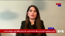 شکریا برادوست: همه مقامات جمهوری اسلامی در یک کشتی سوار هستند