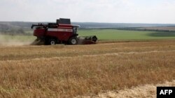 FILE - A combine harvests wheat near Kramatorsk, in Donetsk region on August 4, 2023, amid the Russian invasion of Ukraine.