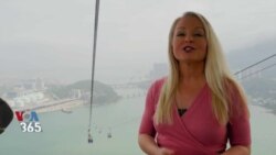 مسافر کنجکاو