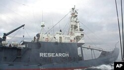 Japanese harpoon vessel 'Shonan Maru No 2' shadows Sea Shepherd's 'Ady Gil' in Southern Ocean off Antarctica, 23 Dec 2009