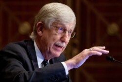 Dr. Francis Collins, Director of the National Institutes of Health, appears before a Senate Health, Education, Labor and Pensions Committee hearing to discuss vaccines during the coronavirus pandemic, on Capitol Hill, Sept. 9, 2020.