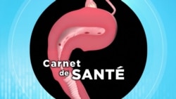 Carnet de Santé : Comprendre l’endométriose