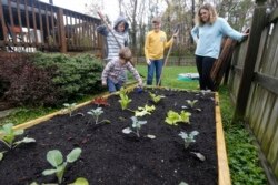 Berkebun jadi 'alasan' warga beraktivitas di luar ruangan.