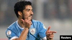 El máximo goleador de la liga Premier de Inglaterra, Luis ‘El Pistolero’ Suárez, está en duda para la Copa del Mundo con Uruguay.