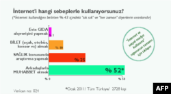 Türkiye'de Halkın Yüzde 42'si İnterneti Zararlı Buluyor