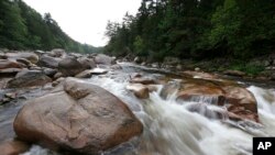 The Wassataquoik Stream flows through Township 3, Range 8, Maine, on land owned by environmentalist Roxanne Quimby, the founder of Burts Bees.