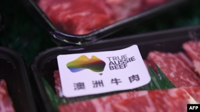 中国暂停澳大利亚一牛肉企业进口称检测出禁用药物