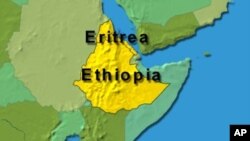 The upcoming vote scheduled for May this year will be Ethiopia’s first since the 2005 disputed election in which about 200 opposition partisans were reportedly killed by the police.