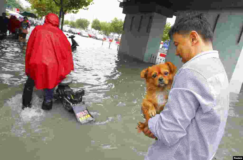 Seorang pria menggendong anjingnya sambil mengarungi jalan yang tergenang banjir akibat Topan Fitow menghantam Shanghai, China (8/10).