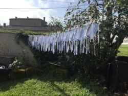 Face masks drying in the sun in Gironde, France.