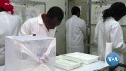 Scientists Waging War Against Malaria Stumble into Bioethics Debate