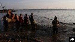 Vietnamese fishermen collect catches from the Mekong river near Arey Ksat village on the outskirts of Phnom Penh, Cambodia, Feb. 6, 2014.