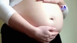 Մայամիի հարակից տարածքներից մեկը ՝ միջատների միջոցով զիկա վիրուսի տարածման վայր