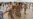 Death toll in stampede at northern India rises to 121