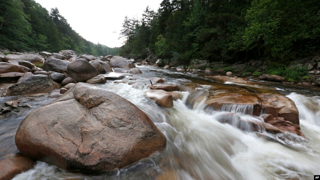 FILE - The Wassataquoik Stream flows through Township 3, Range 8, Maine, on land owned by environmentalist Roxanne Quimby, the founder of Burts Bees, Aug. 4, 2015.