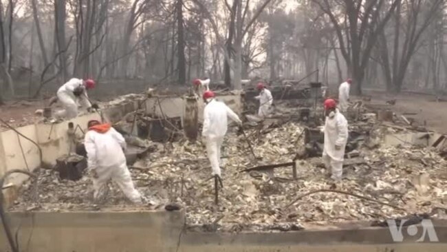 加州野火已经造成66人死亡