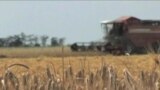 European Farmers Working to Boost Global Grain Supplies