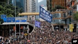 抗议者们手持旗帜在香港游行，要求香港独立。（2019年7月7日）