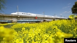 Sebuah kereta api berkecepatan tinggi melewati ladang kanola di Haian, Provinsi Jiangsu, China, 22 Maret 2019. (Foto: Reuters)