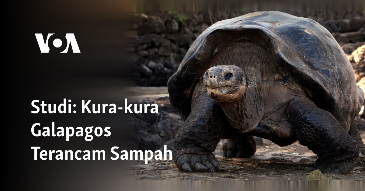 Hammomdagi yosh rus homilador xotini bilan jinsiy aloqa