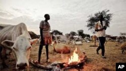 FILE - Dinka cattle herdsmen in Abyei..